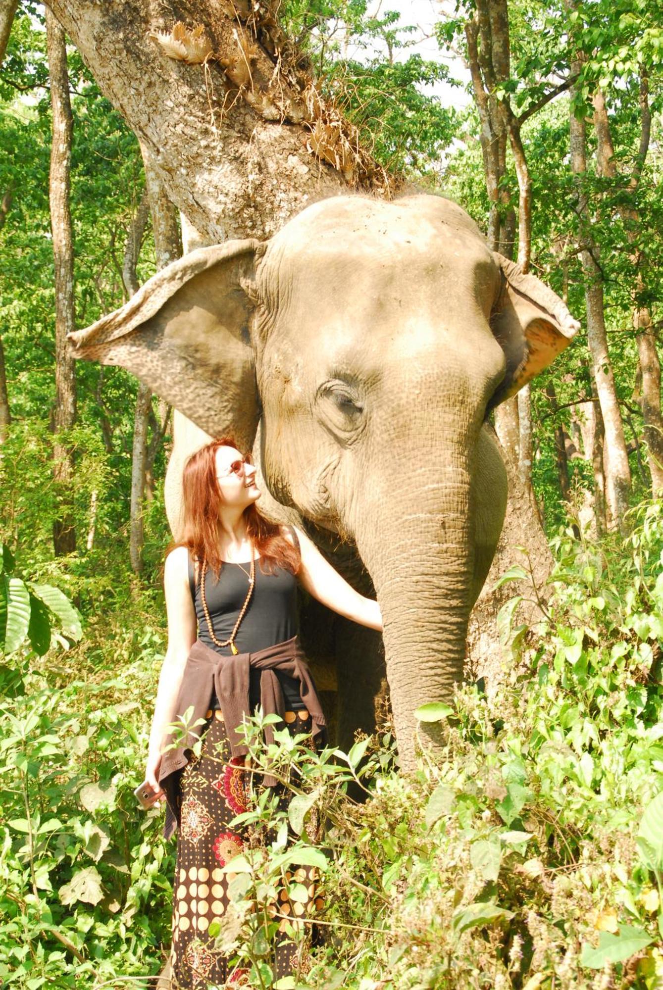 Hotel Garden Of Dreams Sauraha Exterior photo